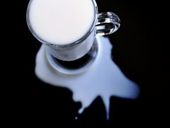 Dairy allergy is an immune response to milk products